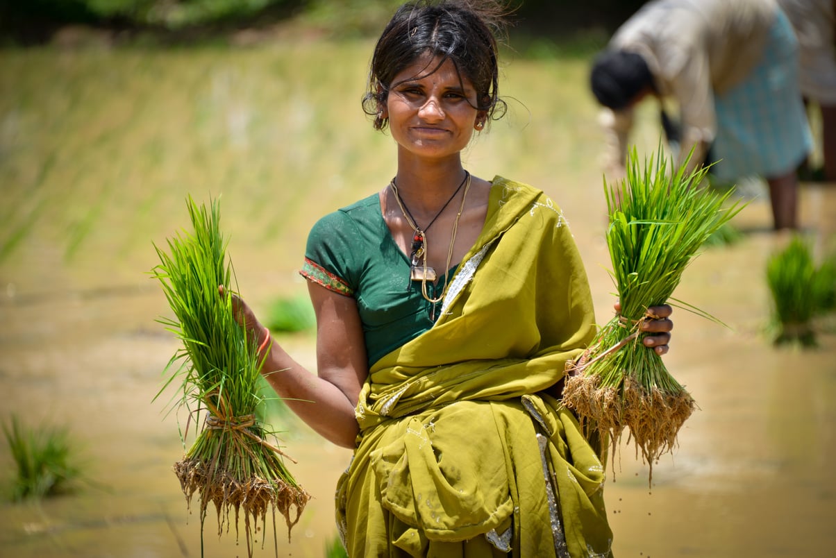 Indian Farmer