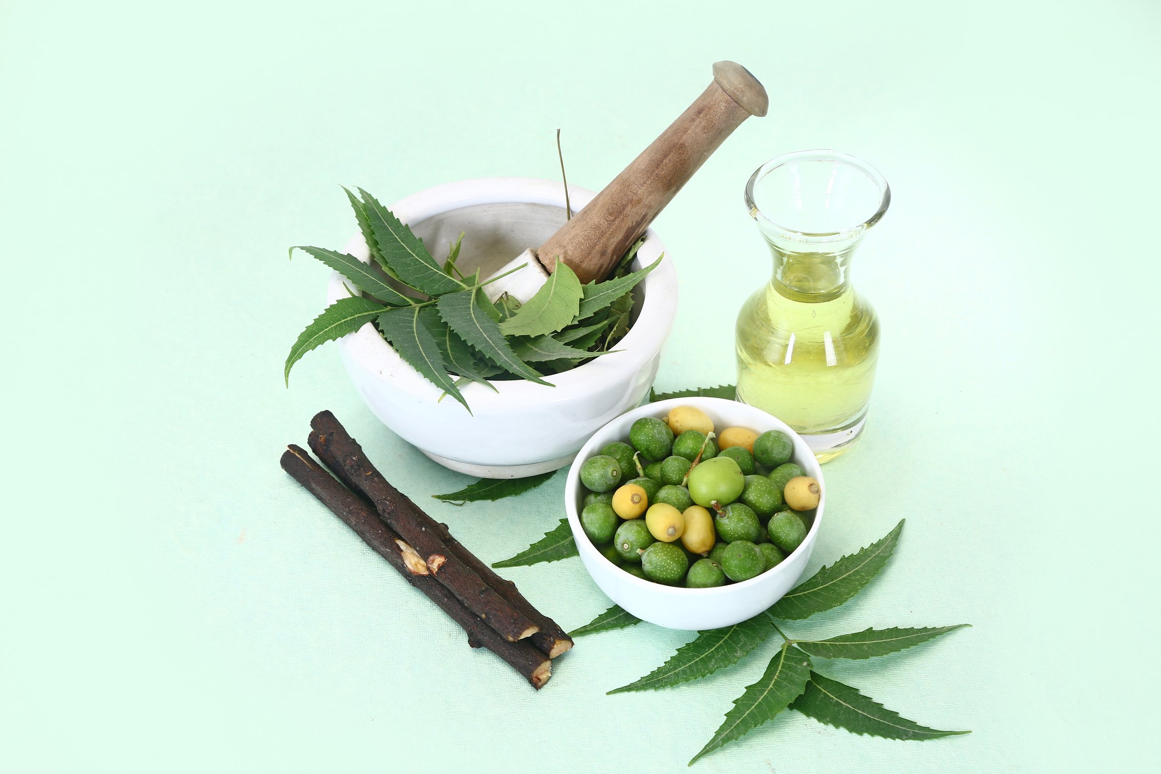 Indian Ayurvedic Neem & Oil, Indian Ayurvedic